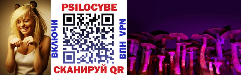 Галлюциногенные грибы Cubensis Берёзовский